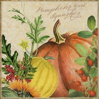 Pumpkins and Squashes Fine Art Print