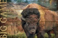 Big Game Bison Fine Art Print