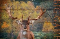 Big Game Deer Fine Art Print