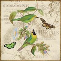 Bird Couple IV Framed Print