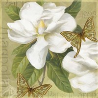 Paris Magnolia's in Spring I Fine Art Print