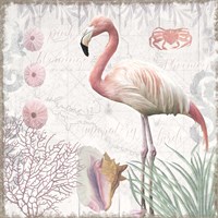 Waders I Flamingo Fine Art Print