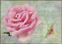 Pink Rose With Grasshopper II Fine Art Print