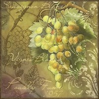 Vignes Blancs Pouilly Fume Framed Print