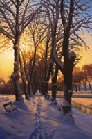 Snowy Evening Fine Art Print