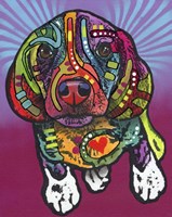 Archie Fine Art Print