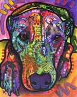 Kaiah Fine Art Print