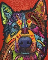 Pierre Fine Art Print