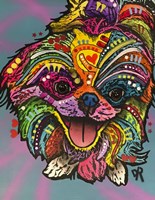 Molly Fine Art Print