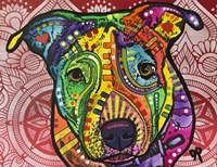 Eyes are the Window to the Soul Fine Art Print