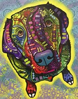 Marley Fine Art Print