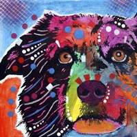 Aussie Tile Fine Art Print