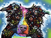 Border Collie 3 Fine Art Print