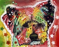 Earthy York Fine Art Print