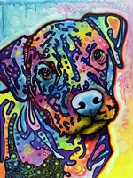 Pigeon Fine Art Print