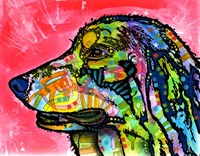 Quinn Fine Art Print