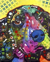 Springer Fine Art Print