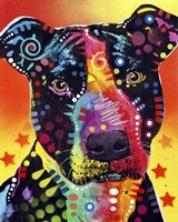 The Focused Pit Fine Art Print