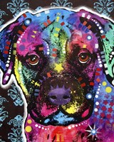 Young Bull Mastiff Fine Art Print