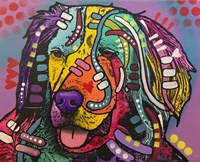 Nugget Fine Art Print