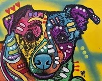 Freeze Fine Art Print