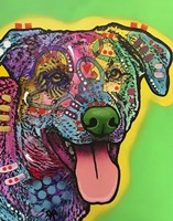 HawkEye Fine Art Print