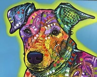 Shamus Fine Art Print