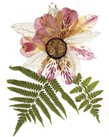 Flower Fantasy 22 Fine Art Print