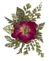 Flower Fantasy 23 Fine Art Print