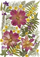 Flower Fantasy 31 Fine Art Print