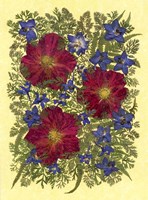 Flower Fantasy 32 Fine Art Print