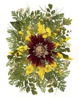 Flower Fantasy 33 Fine Art Print