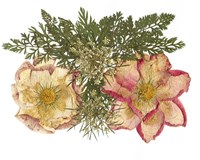 Flower Fantasy 34 Fine Art Print