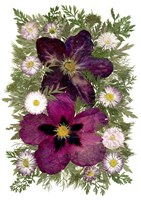 Flower Fantasy 42 Fine Art Print