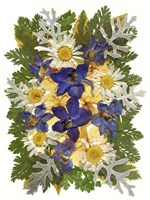 Flower Fantasy 48 Fine Art Print