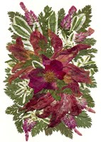 Flower Fantasy 49 Fine Art Print