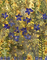 Flower Fantasy 50 Fine Art Print