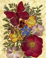Butterfly And Flowers 2 Fine Art Print