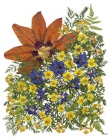 Dried Flowers 4 Fine Art Print