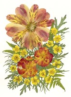 Dried Flowers 5 Fine Art Print