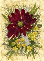 Dried Flowers 8 Fine Art Print