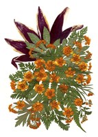 Dried Flowers 9 Fine Art Print