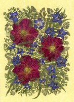 Dried Flowers 10 Fine Art Print