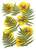 Dried Flowers 11 Fine Art Print