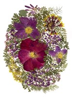 Dried Flowers 13 Fine Art Print