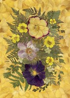 Dried Flowers 15 Fine Art Print