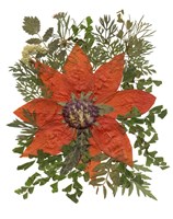 Dried Flowers 17 Fine Art Print