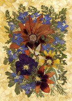 Dried Flowers 21 Fine Art Print