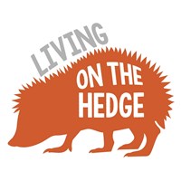 Hedgehog Fine Art Print