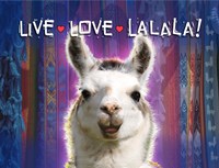 Live Love Lalala Fine Art Print